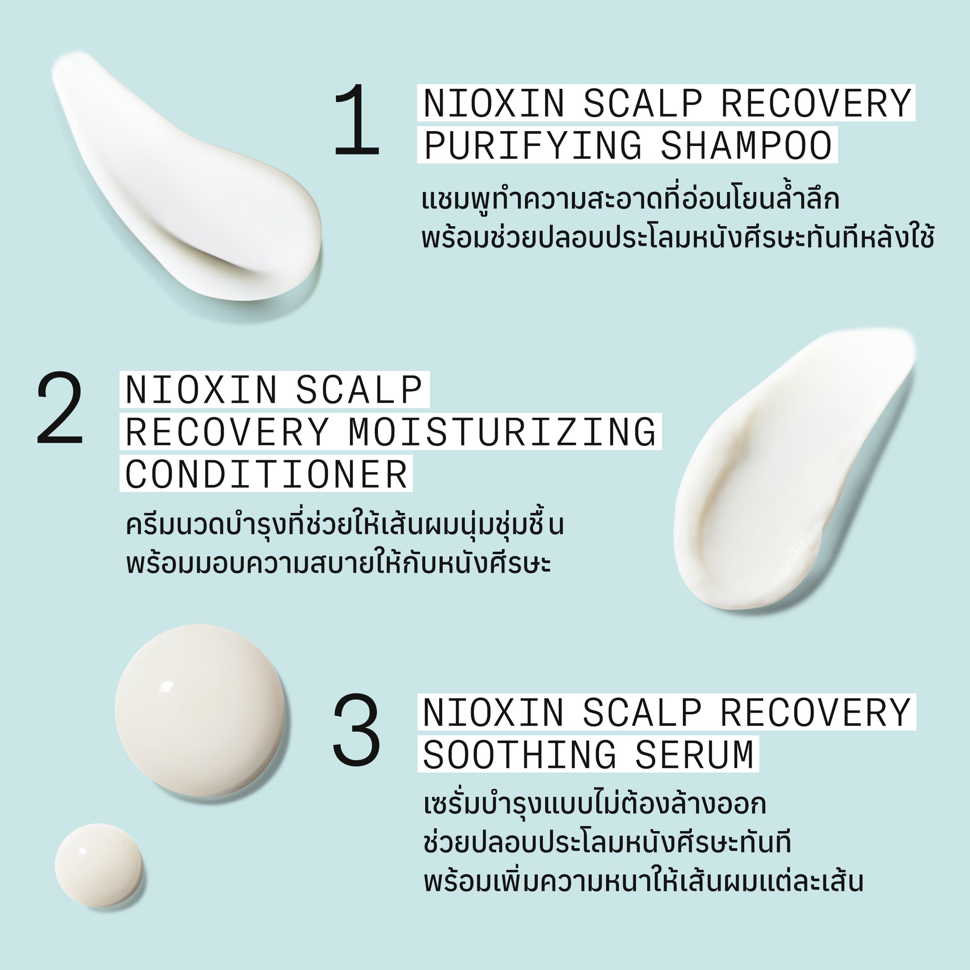 NIOXIN - 3 Steps Scalp Recovery System - OCC LIFE