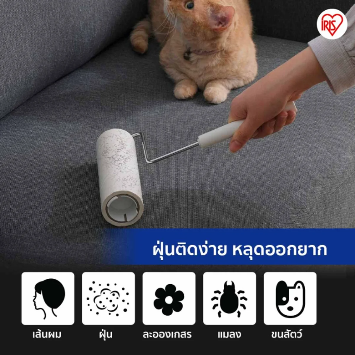 IRIS-OHYAMA - Lint Roller Refills 3 Rolls (Extra Sticky) - OCC LIFE