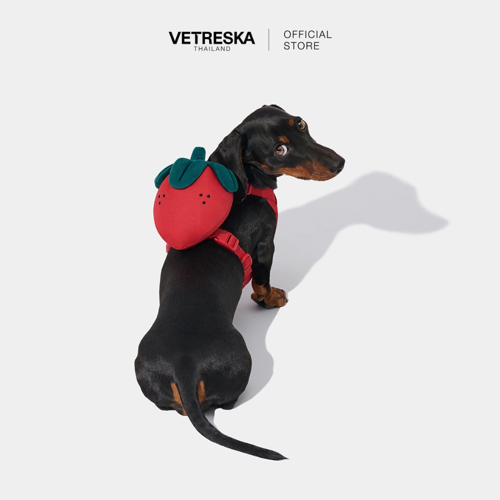 VETRESKA - Strawberry Pet Backpack, Harness & Leash Set - OCC LIFE