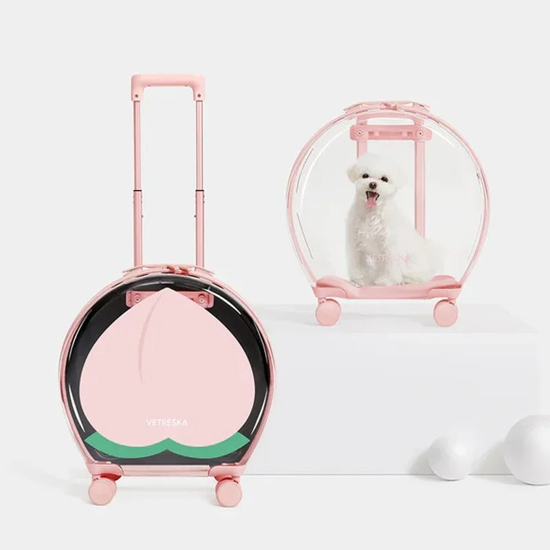 Vetreska - Bubble Pet Carrier (Pink Color Block) - OCC LIFE