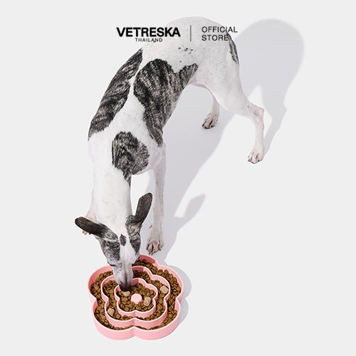 Vetreska - Flora Pet Silicon Slow Feeder - OCC LIFE