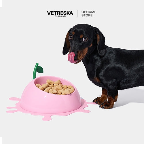 Vetreska - Juicy Peach Pet Bowl, Spoon & Mat Set - OCC LIFE