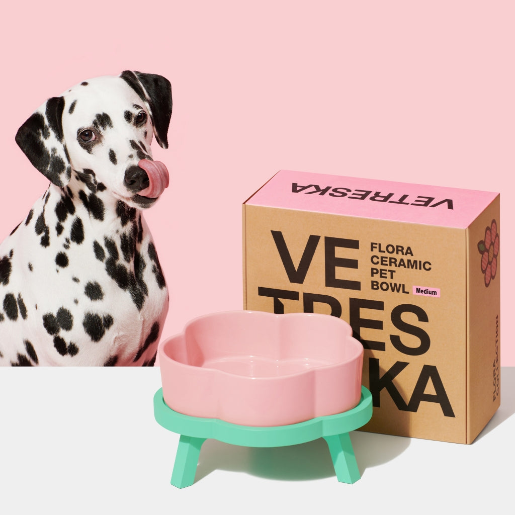 Vetreska - Flora Ceramic Pet Bowl - OCC LIFE