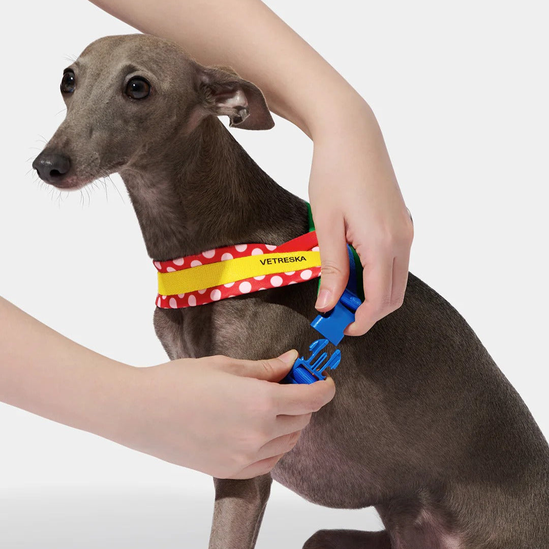 Vetreska - Chroma Pet Harness & Leash Set - Red - OCC LIFE