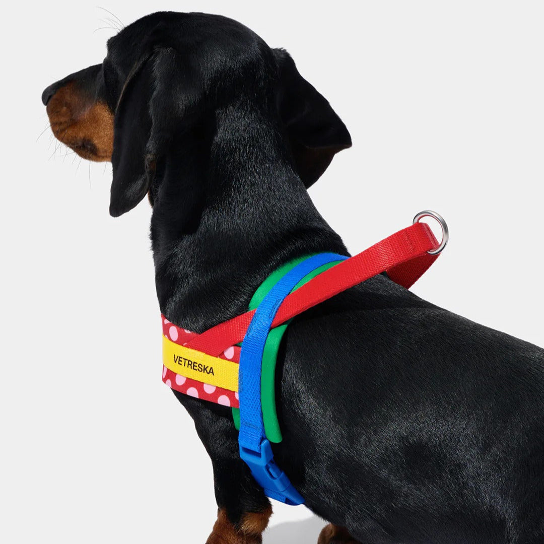 Vetreska - Chroma Pet Harness & Leash Set - Red - OCC LIFE