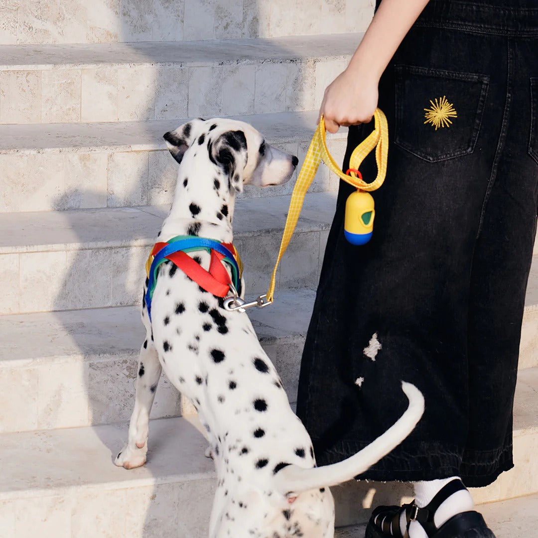 VETRESKA - Chroma Pet Harness & Leash Set - Yellow - OCC LIFE