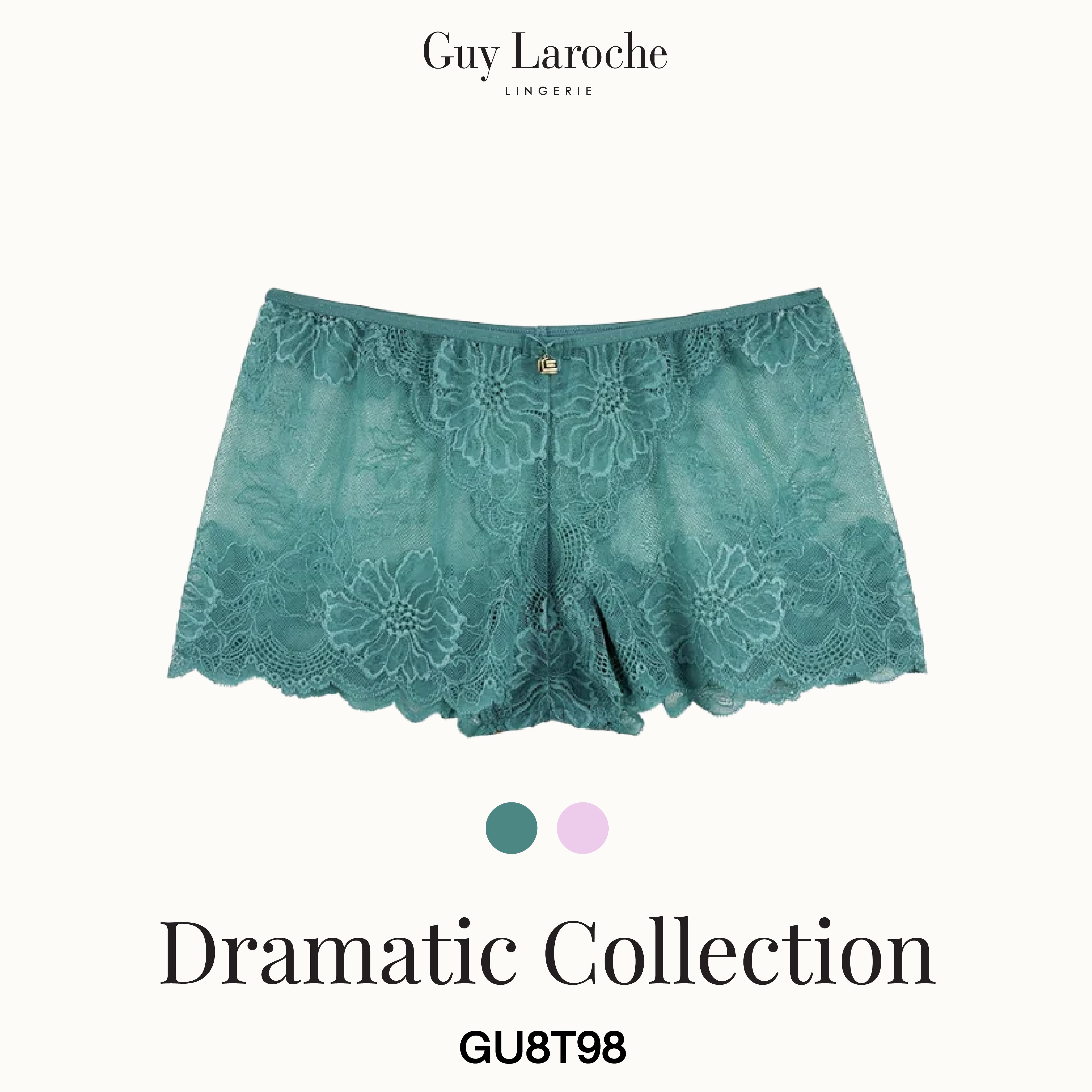 Guy Laroche Lingerie - Lace Boy Leg Underwear (Dramatic Collection) GU8T98 - OCC LIFE