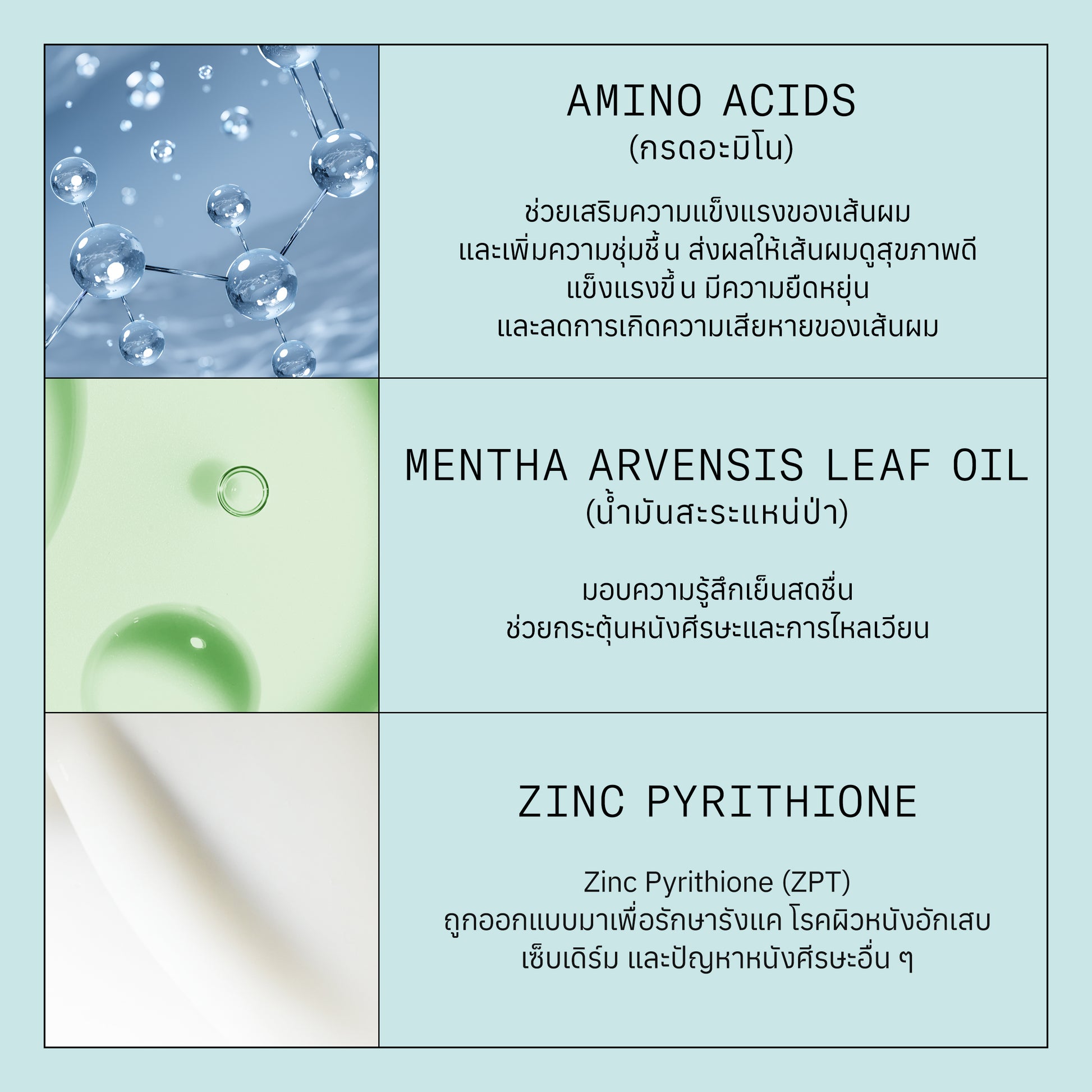 NIOXIN - Pro Clinical Scalp Recovery Moisturizing Conditioner 200ml/1000ml - OCC LIFE