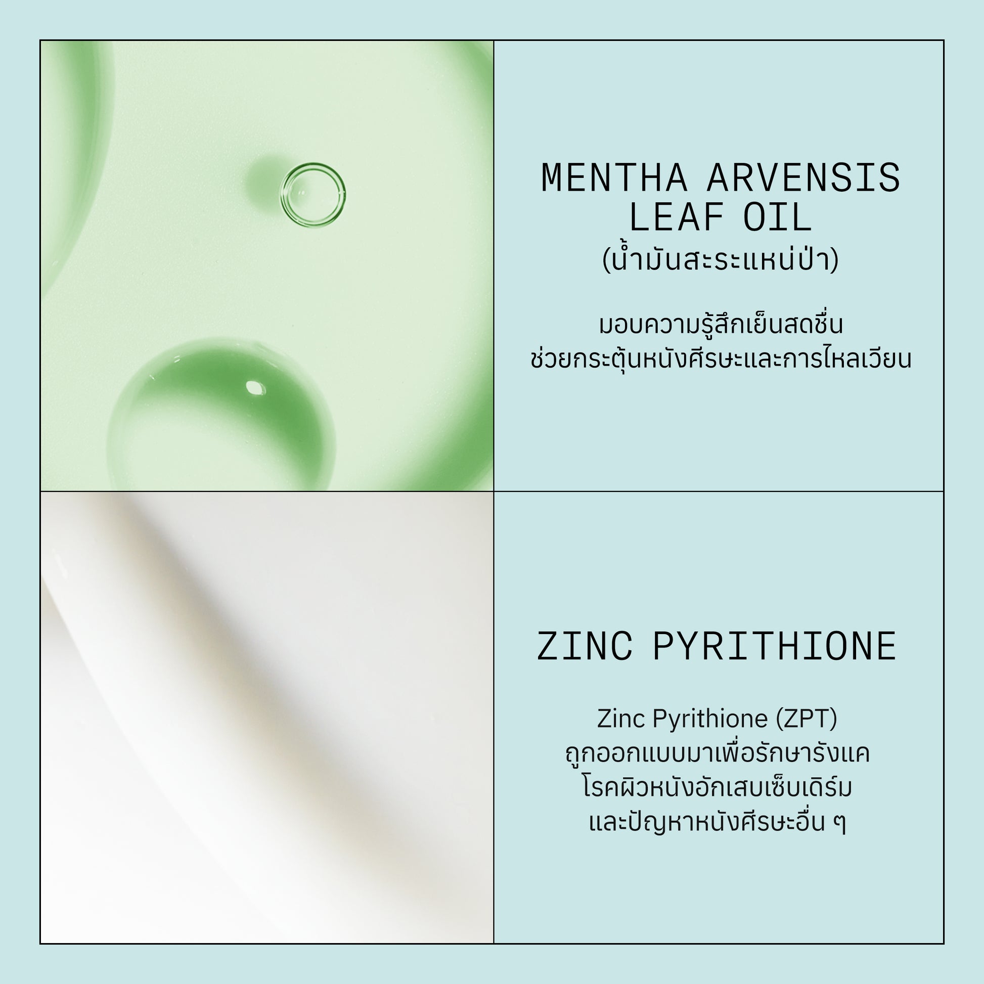 NIOXIN - Pro Clinical Scalp Recovery System Scalp Soothing Serum 100ml - OCC LIFE