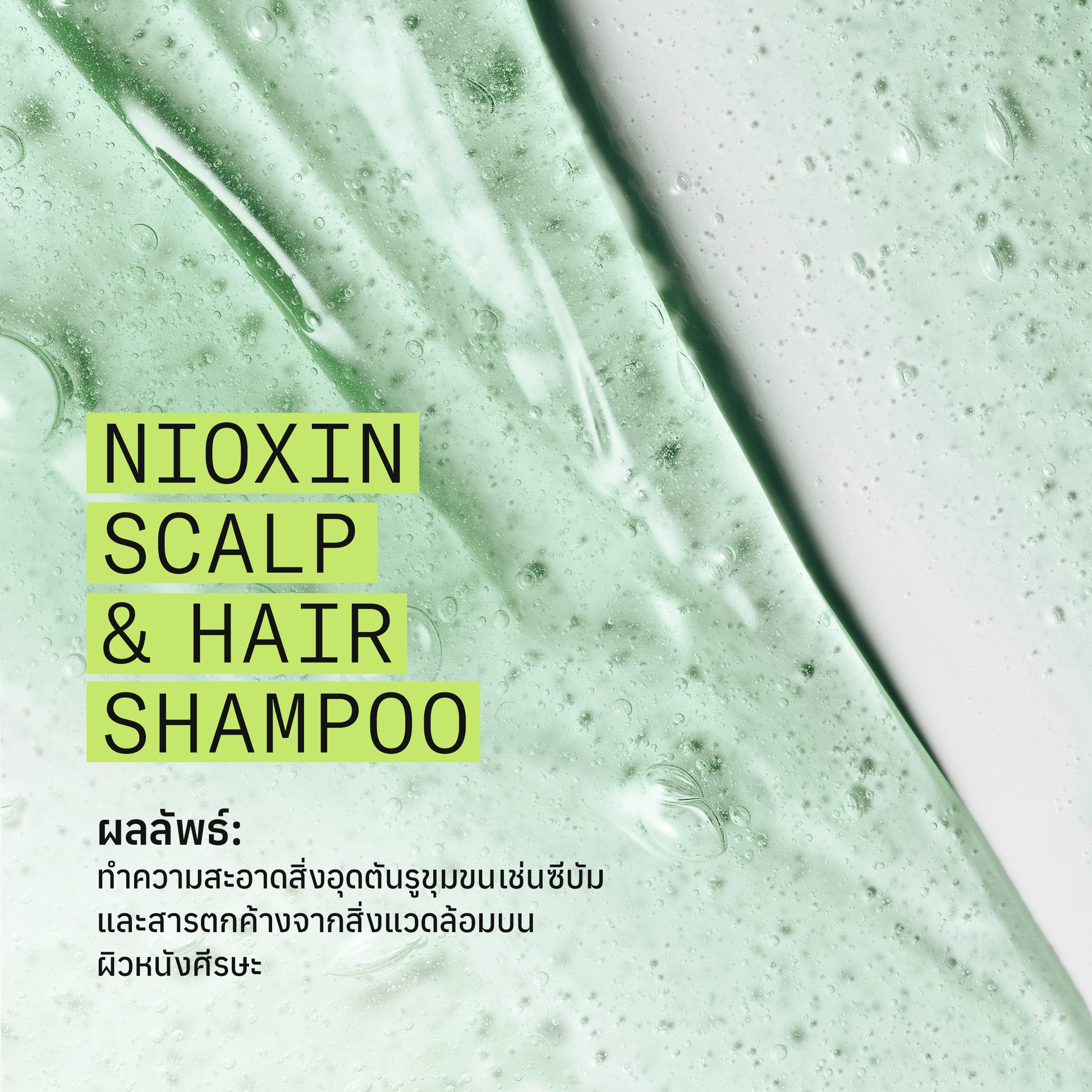 NIOXIN - System 2 Shampoo 300ml/1000ml - OCC LIFE