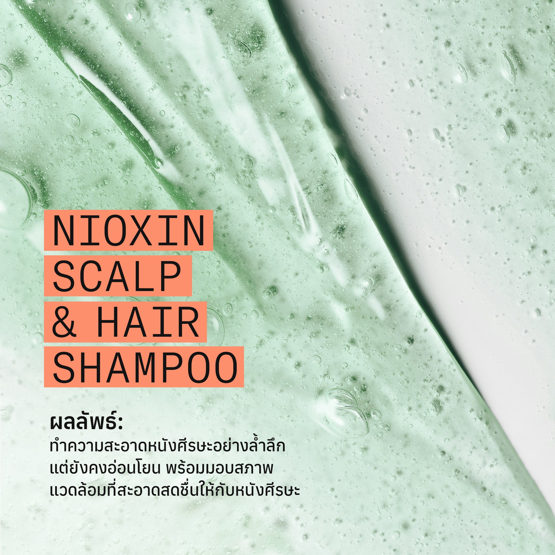 NIOXIN - System 4 Shampoo 300ml/1000ml - OCC LIFE