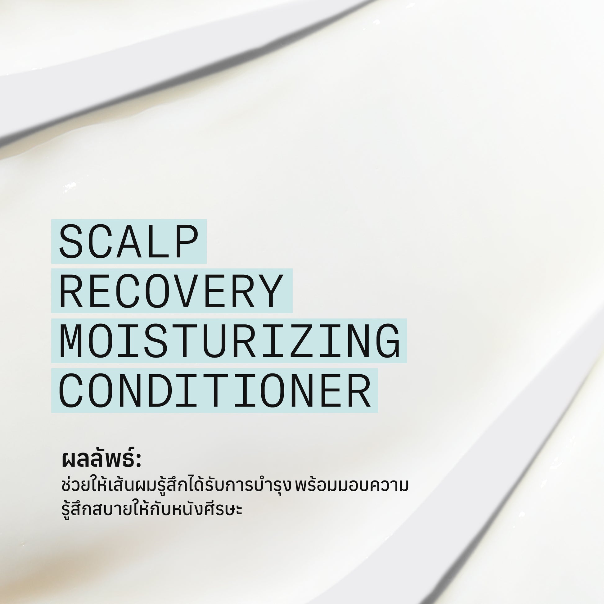 NIOXIN - Pro Clinical Scalp Recovery Moisturizing Conditioner 200ml/1000ml - OCC LIFE