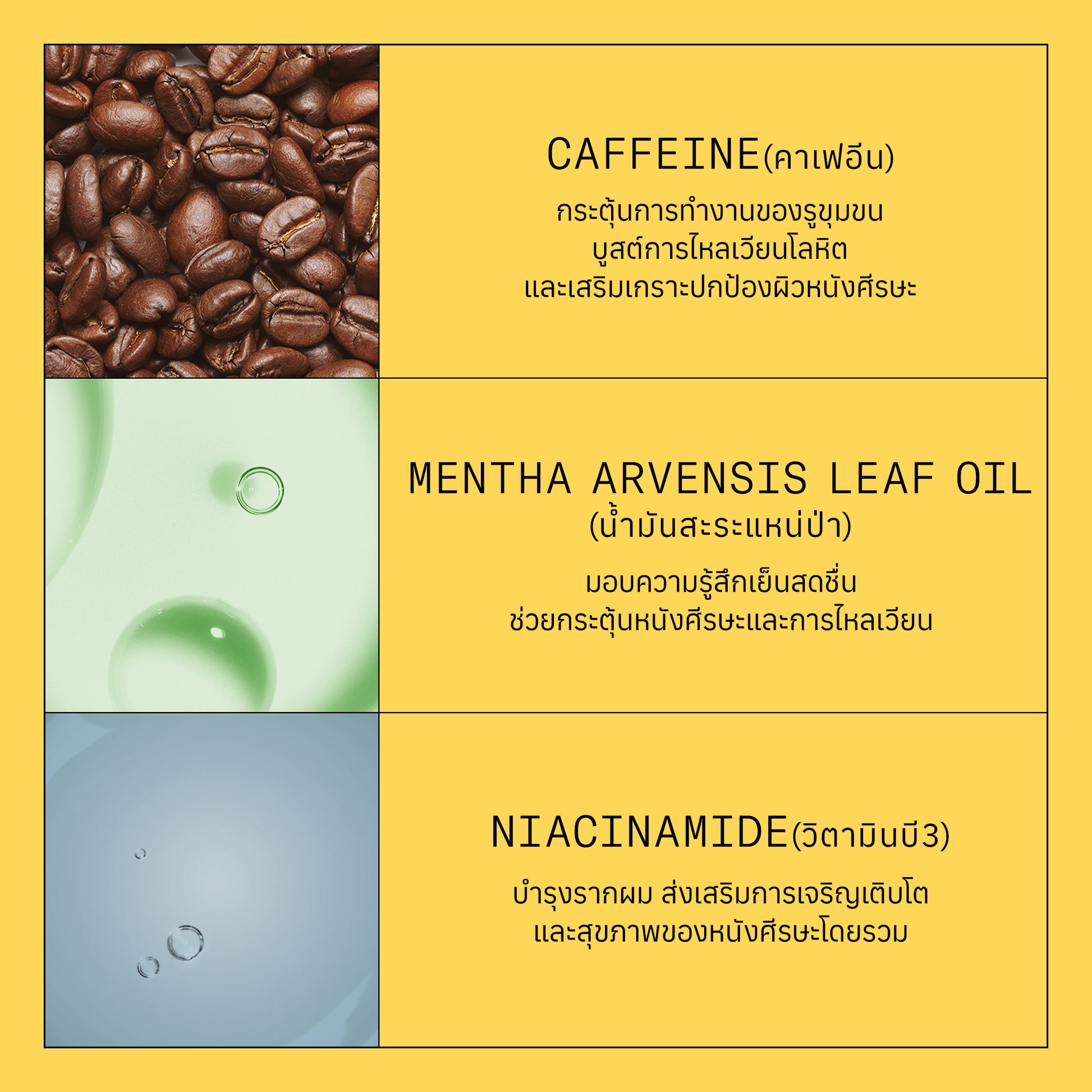 NIOXIN - System 1 Treatment 100ml - OCC LIFE