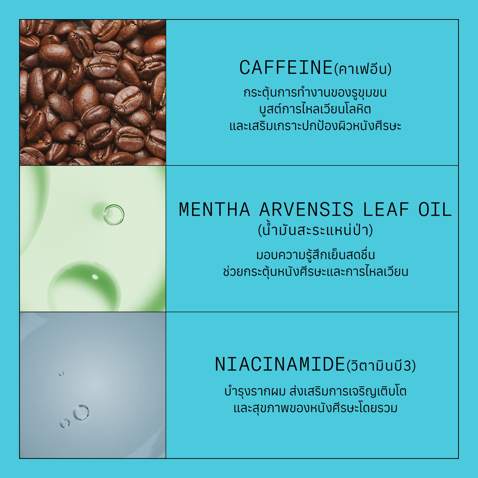 NIOXIN - System 3 Treatment 100ml - OCC LIFE