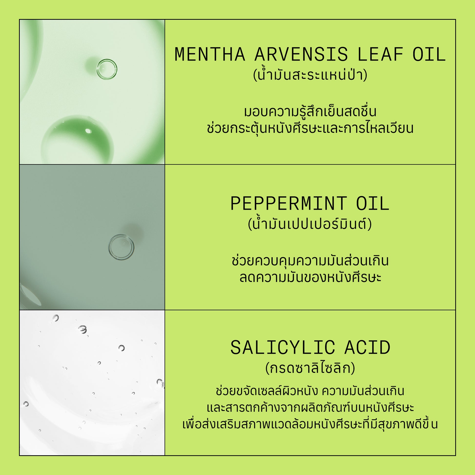 NIOXIN - System 2 Shampoo 300ml/1000ml - OCC LIFE