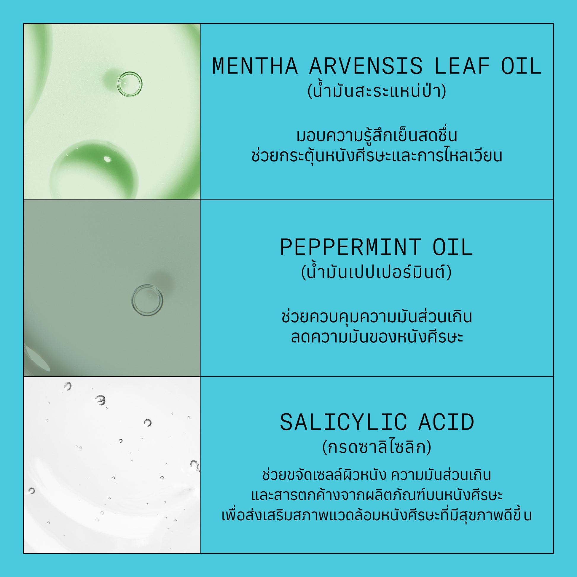 NIOXIN - System 3 Shampoo 300ml/1000ml - OCC LIFE