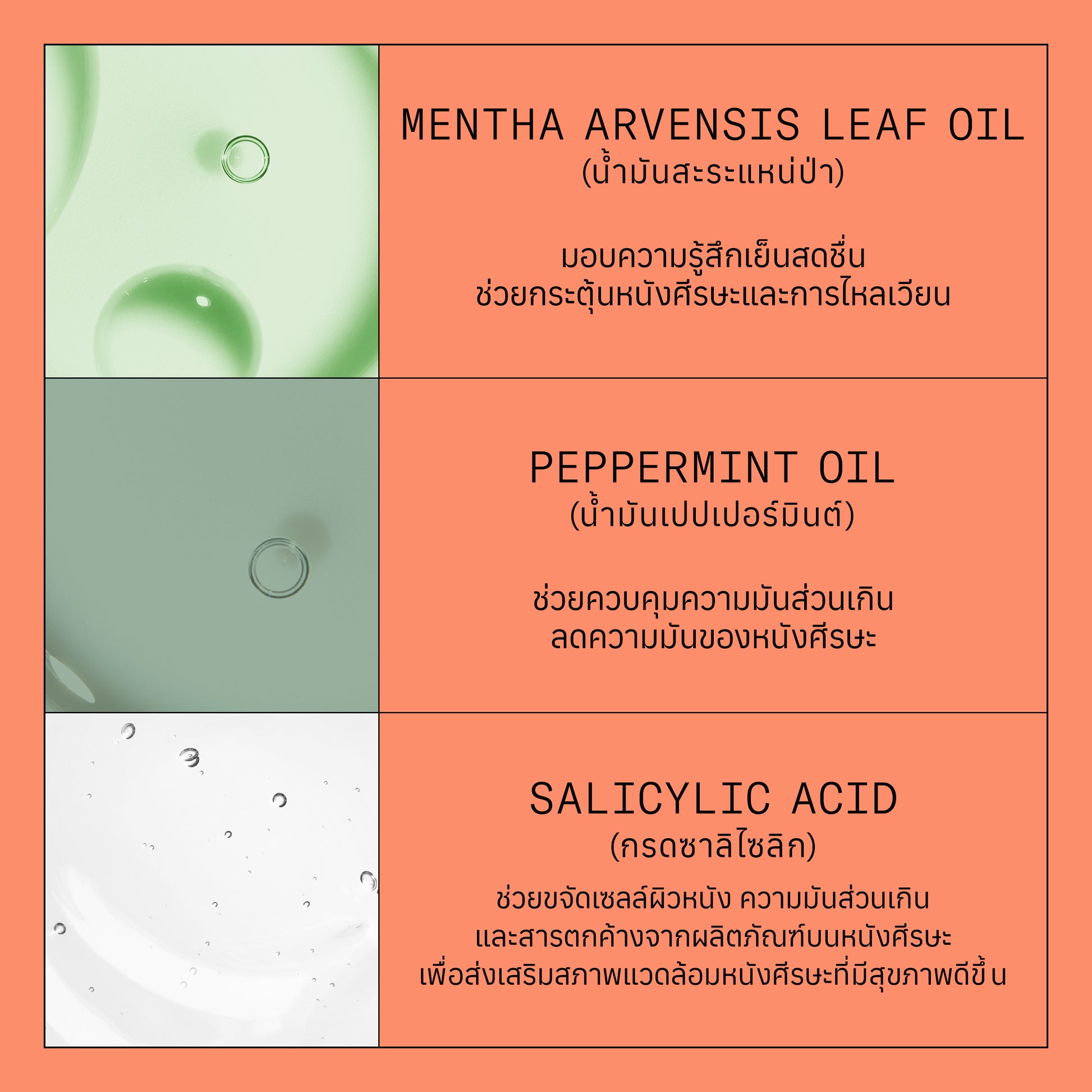 NIOXIN - System 4 Shampoo 300ml/1000ml - OCC LIFE