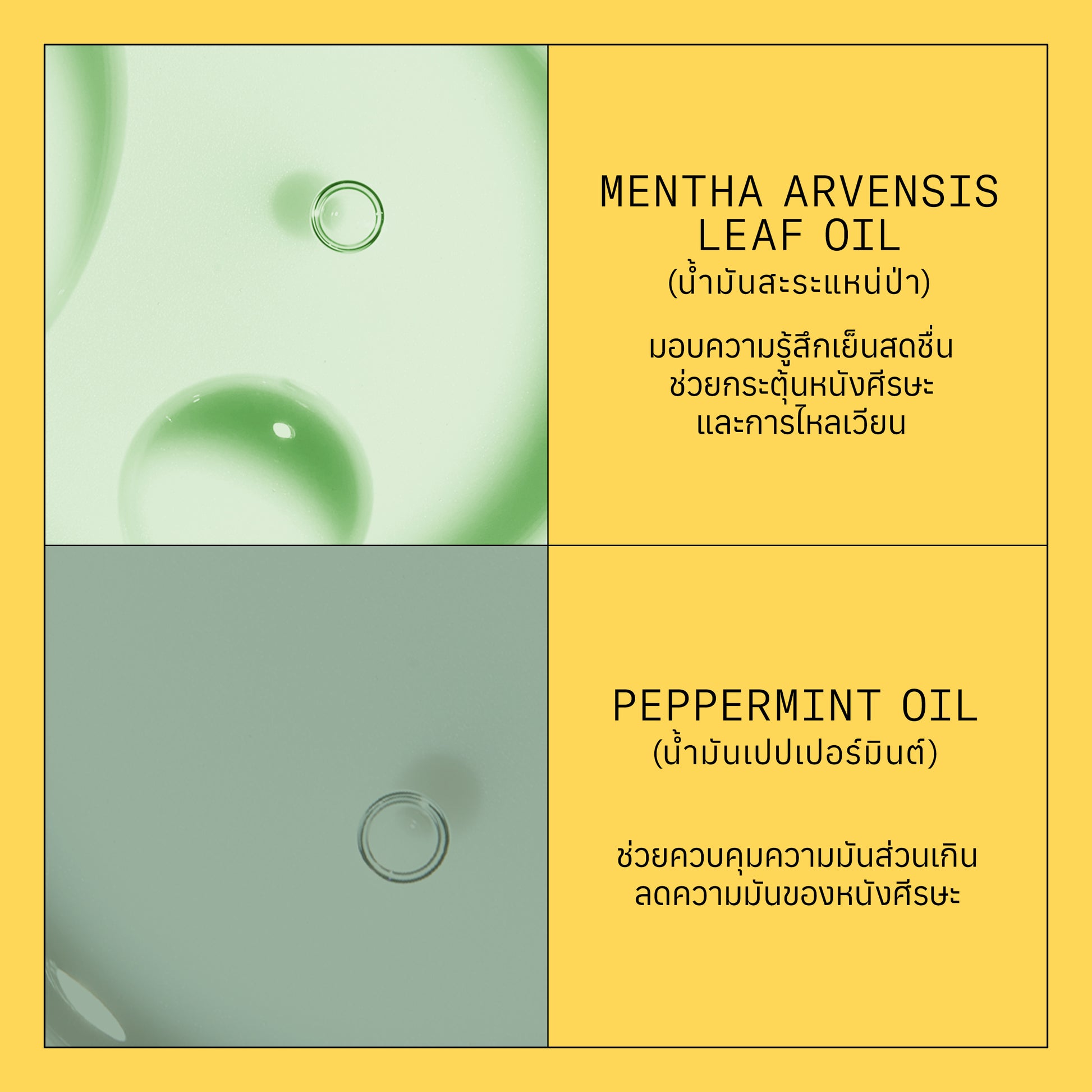 NIOXIN - System 1 Conditioner 300ml/1000ml - OCC LIFE