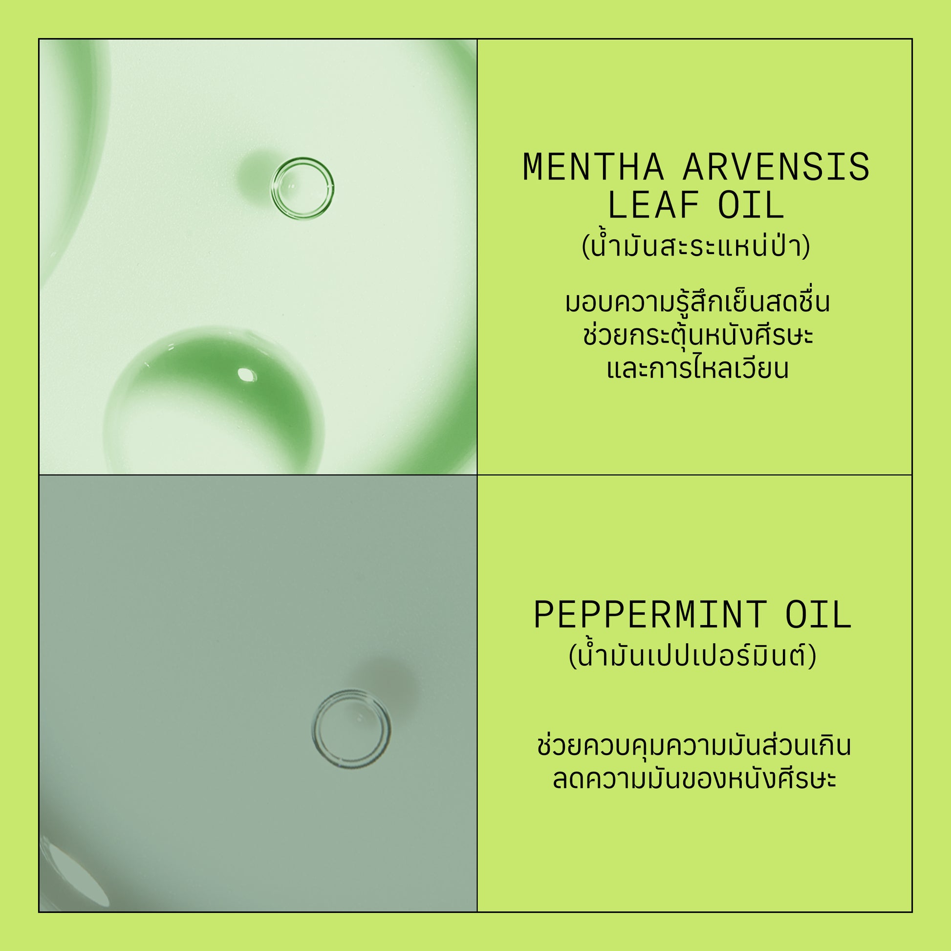 NIOXIN - System 2 Conditioner 300ml/1000ml - OCC LIFE