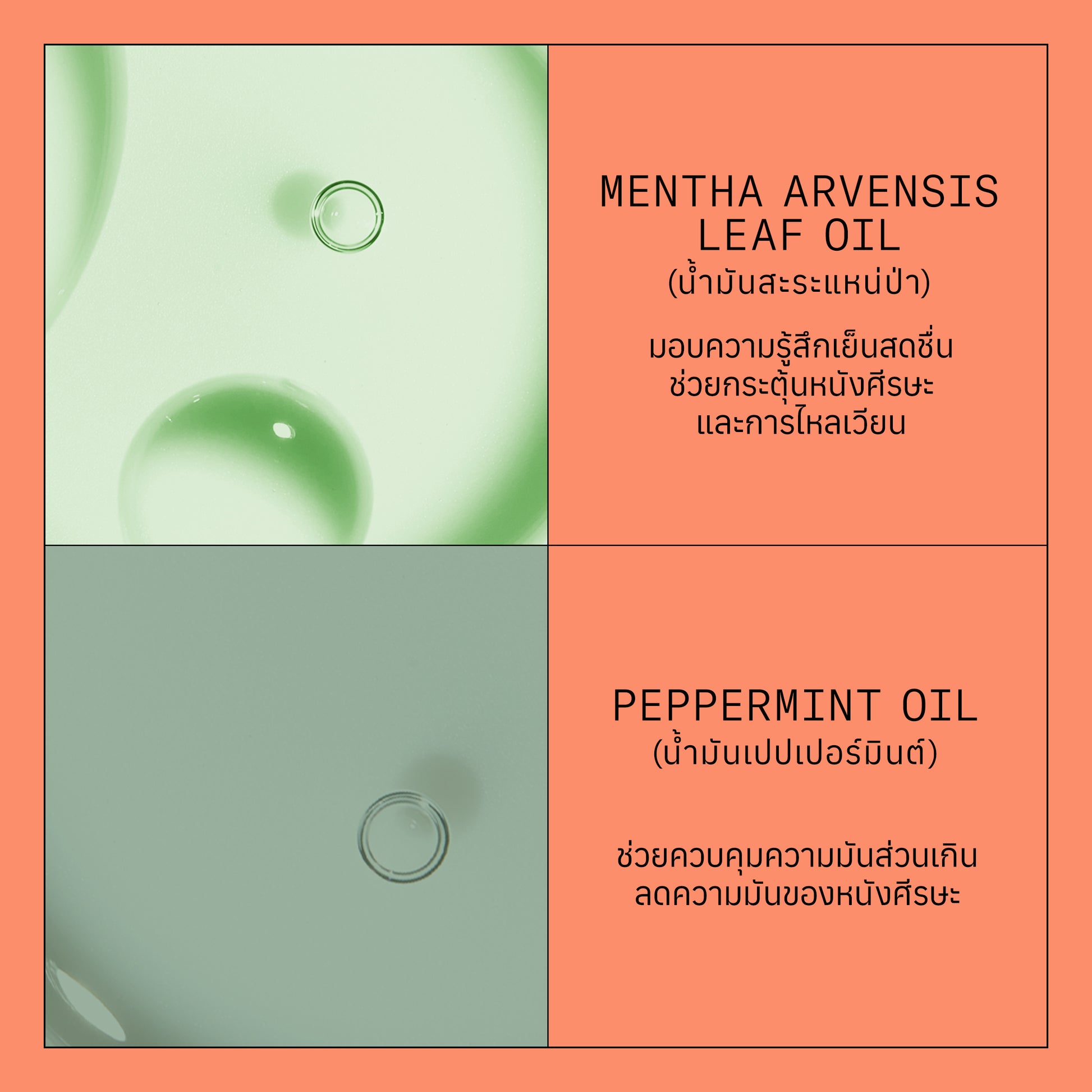 NIOXIN - System 4 Conditioner 300ml/1000ml - OCC LIFE