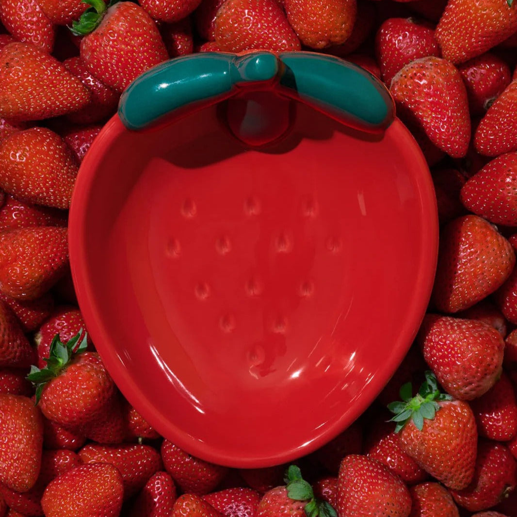 VETRESKA - Strawberry Ceramic Pet Bowl - OCC LIFE
