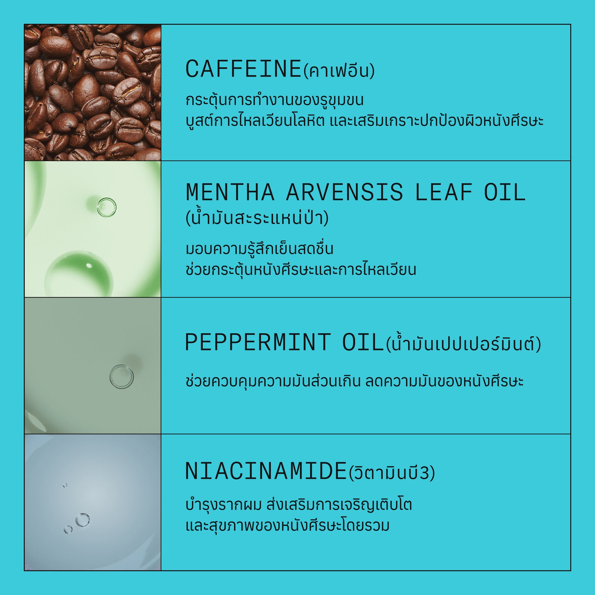 NIOXIN - Pro Clinical System Kit 3 - OCC LIFE