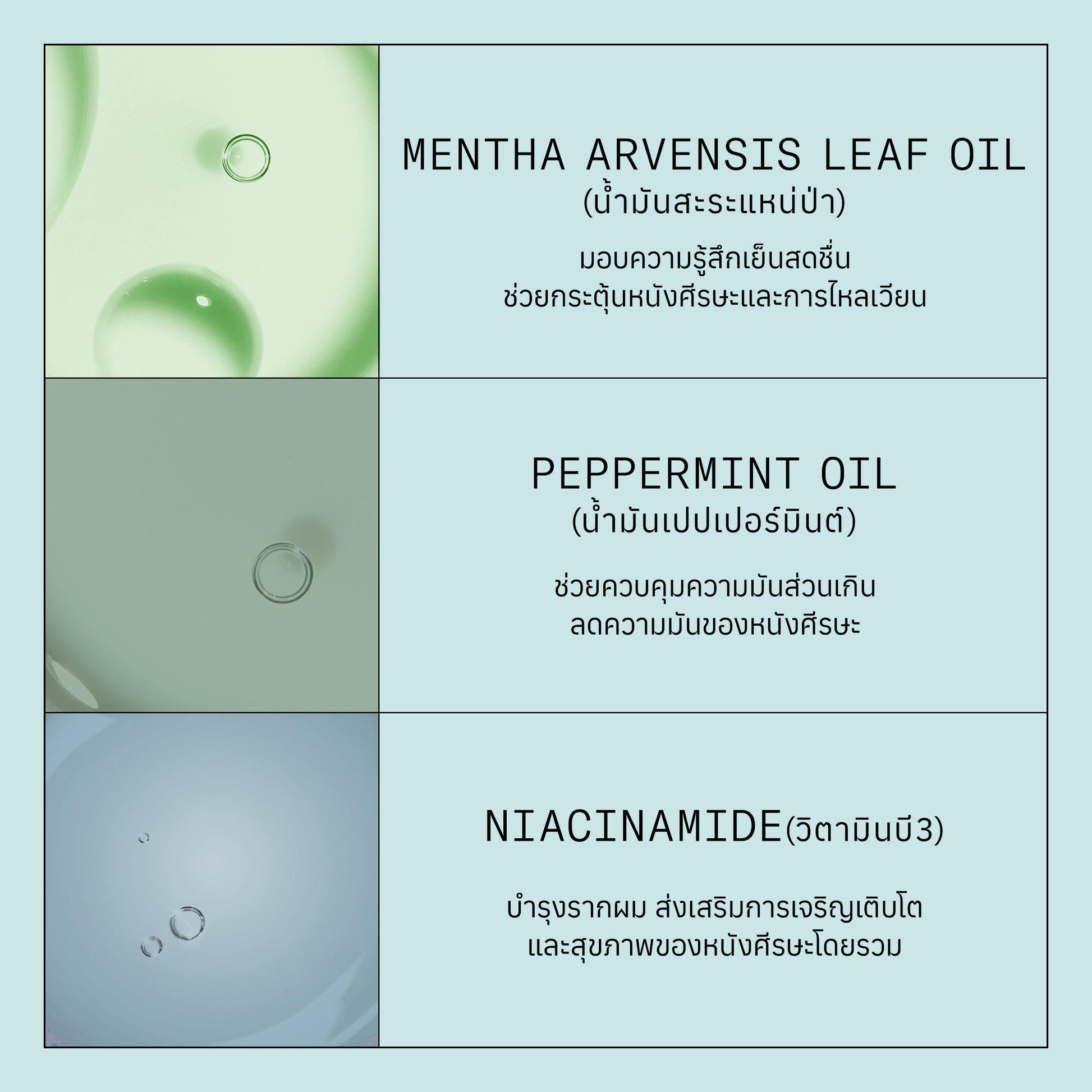 NIOXIN - 3 Steps Scalp Recovery System - OCC LIFE