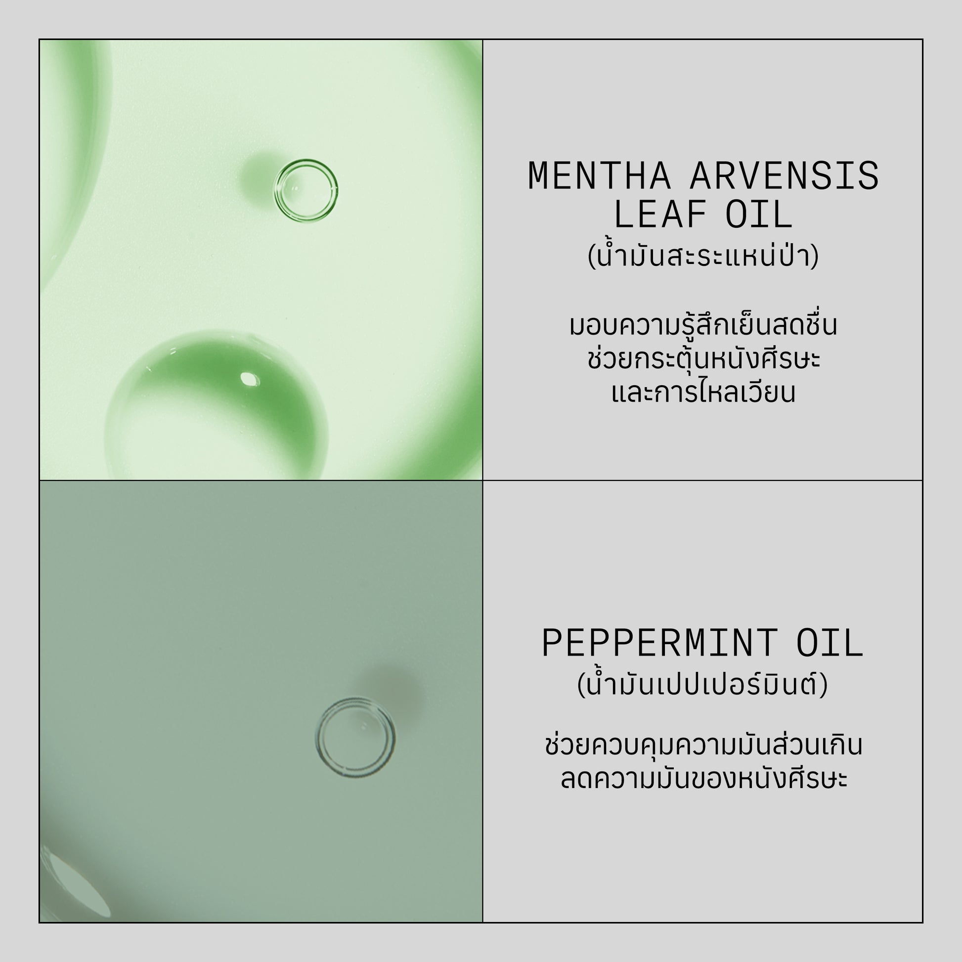 NIOXIN - Hair Booster Serum - OCC LIFE