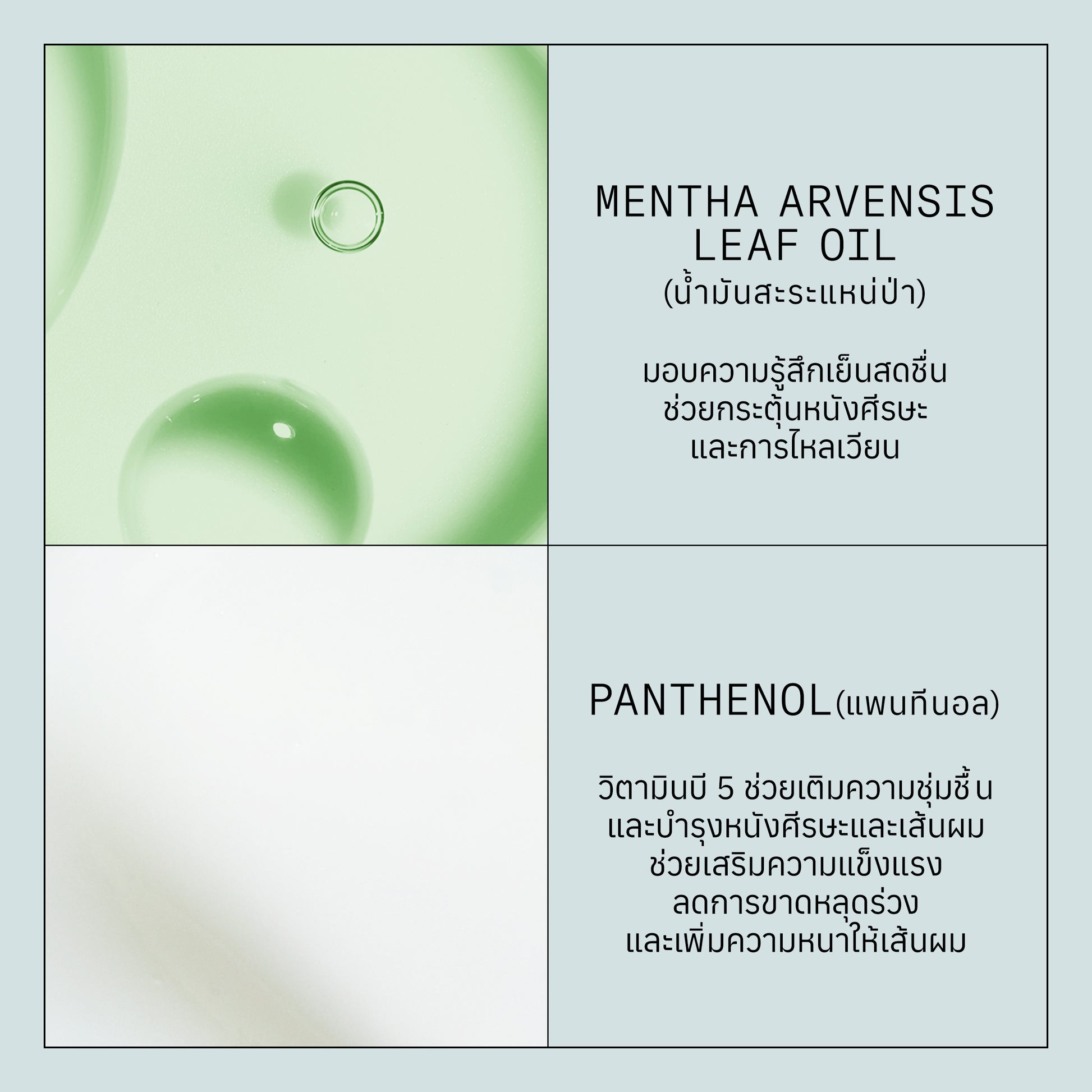 NIOXIN - Strong Hold Hairspray - OCC LIFE