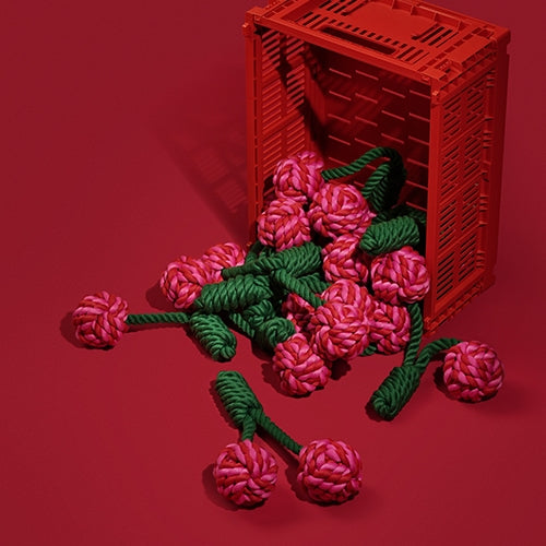 Vetreska - Cherry Knot Rope Toy - OCC LIFE