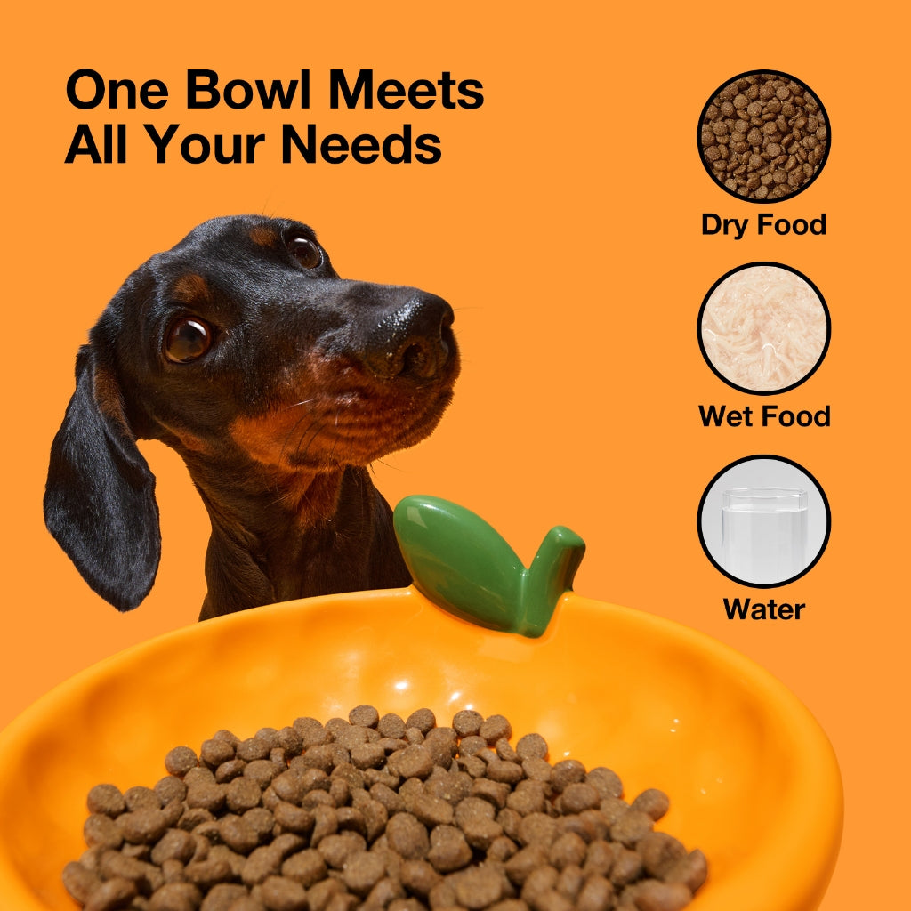 Vetreska - Tangerine Ceramic Pet Bowl - OCC LIFE