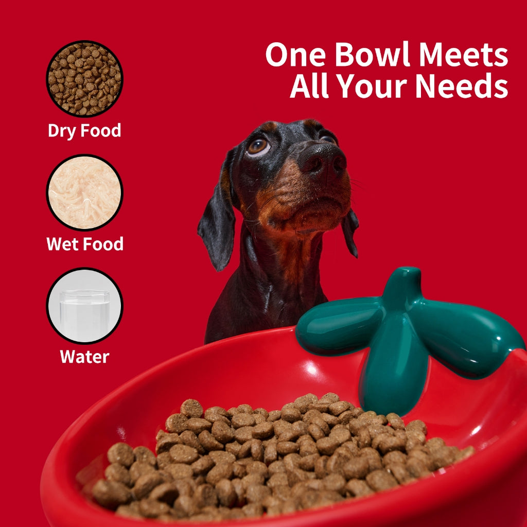 VETRESKA - Strawberry Ceramic Pet Bowl - OCC LIFE