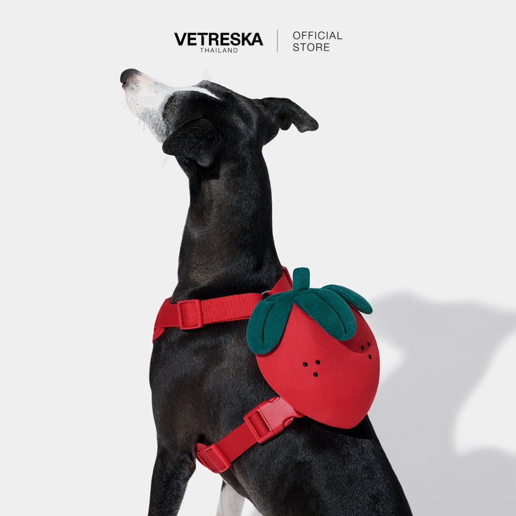 VETRESKA - Strawberry Pet Backpack, Harness & Leash Set - OCC LIFE