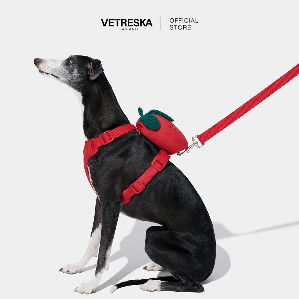 VETRESKA - Strawberry Pet Backpack, Harness & Leash Set - OCC LIFE