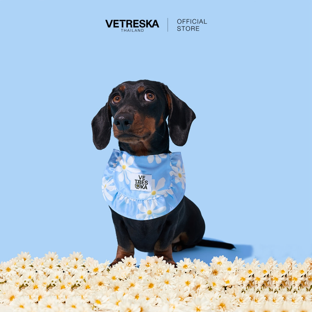 VETRESKA - Daisy Pet Bib - OCC LIFE