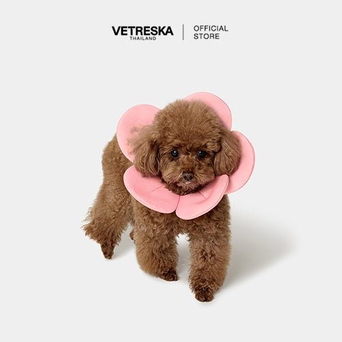 Vetreska - Flora Pet Bib - OCC LIFE