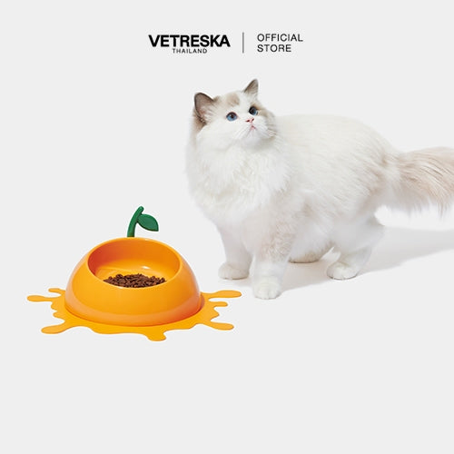 Vetreska - Juicy Tangerine Pet Bowl, Spoon & Mat Set - OCC LIFE