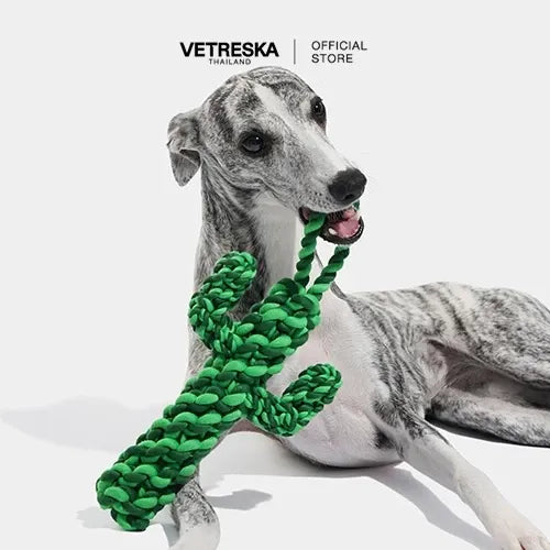 Vetreska - Oasis Cactus Knot Rope Toy - OCC LIFE