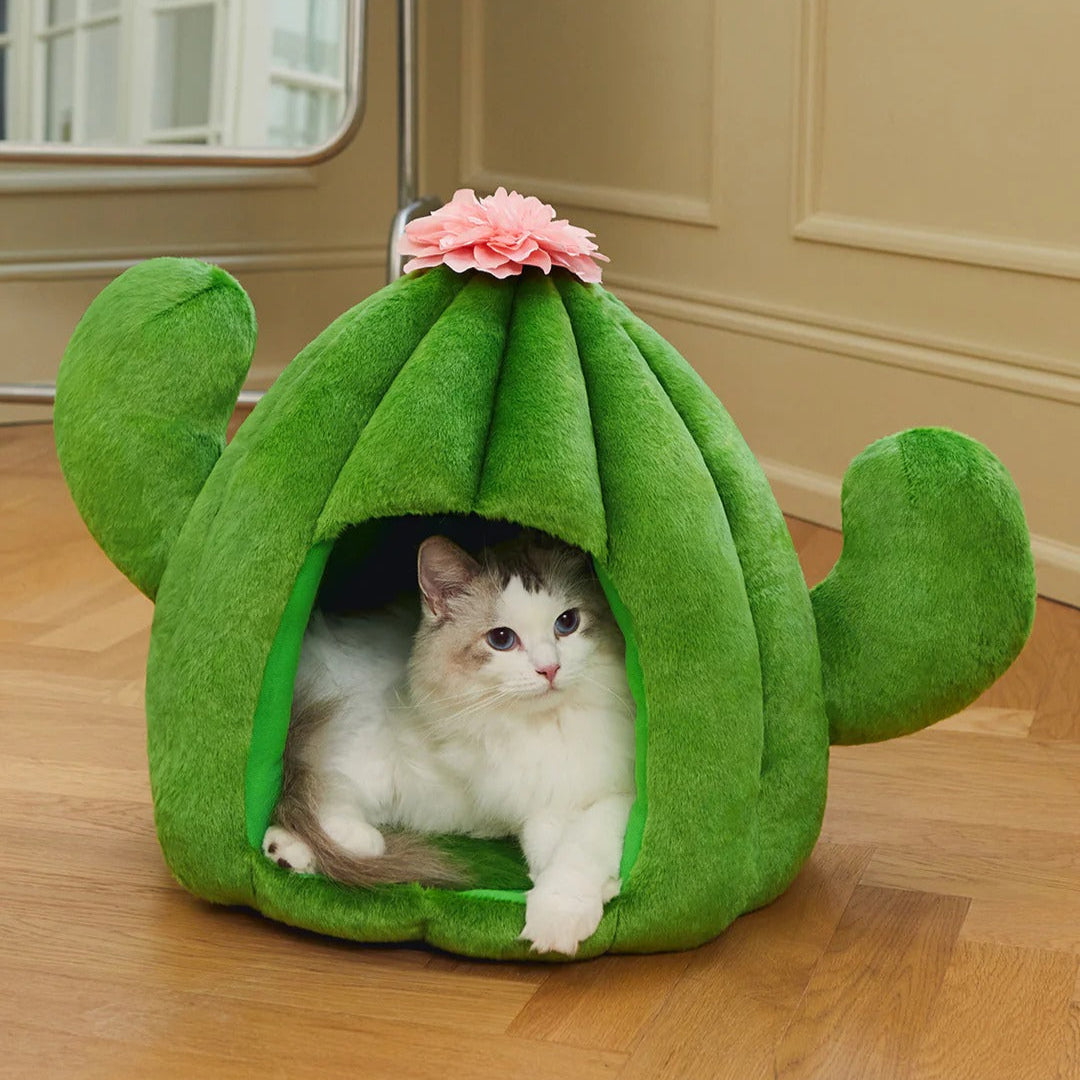 Vetreska - Oasis Cactus Pet Bed - OCC LIFE