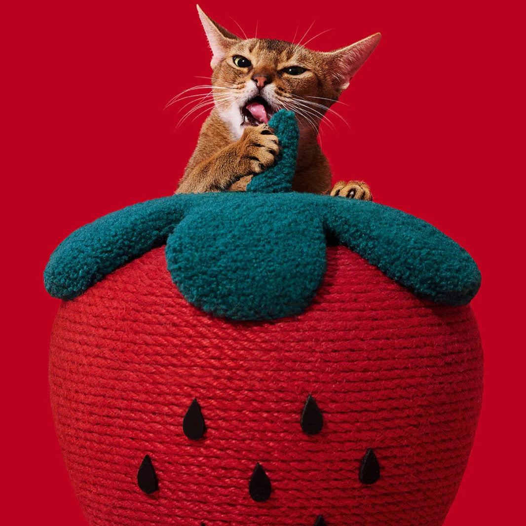 VETRESKA - Strawberry Cat Scratching Ball - OCC LIFE