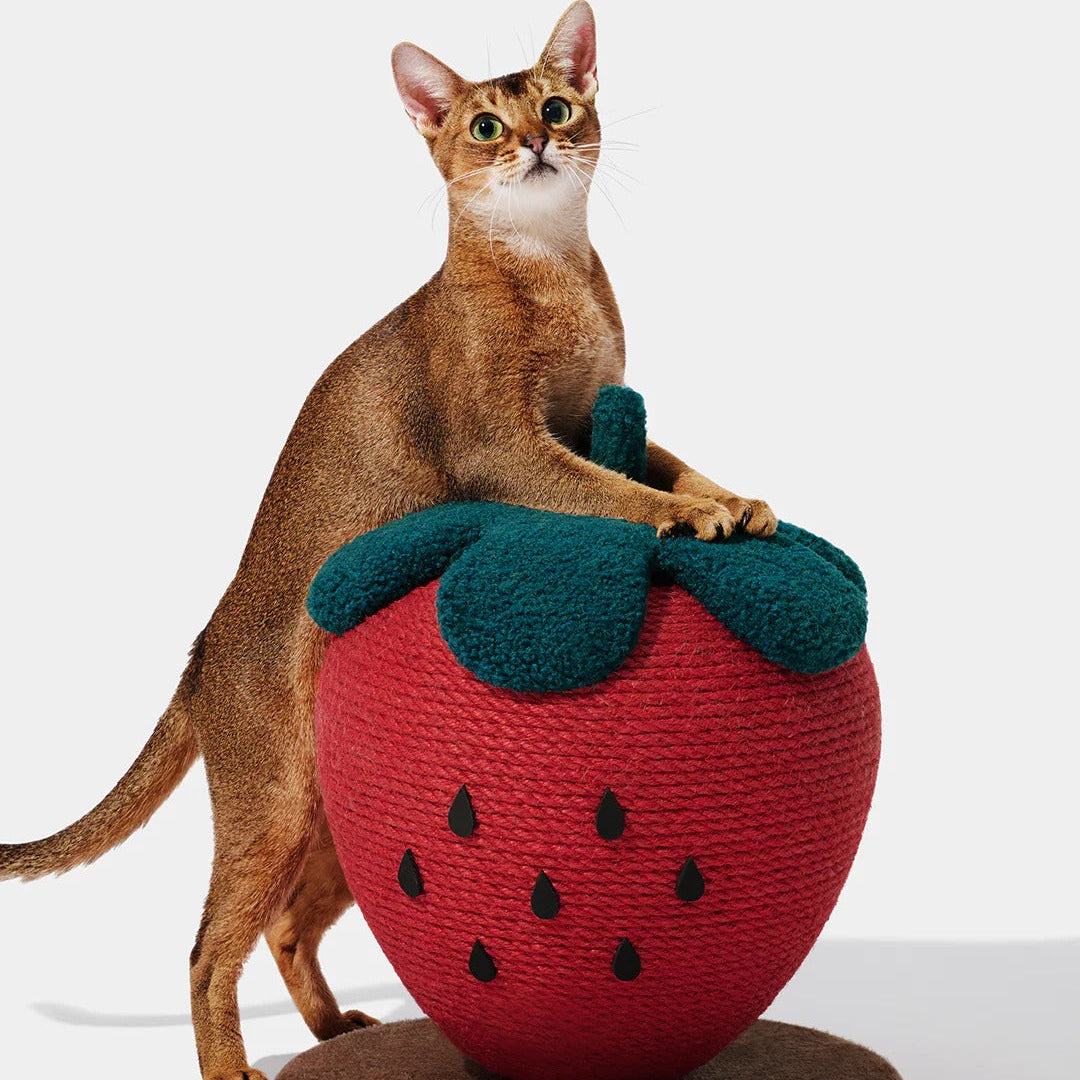 VETRESKA - Strawberry Cat Scratching Ball - OCC LIFE