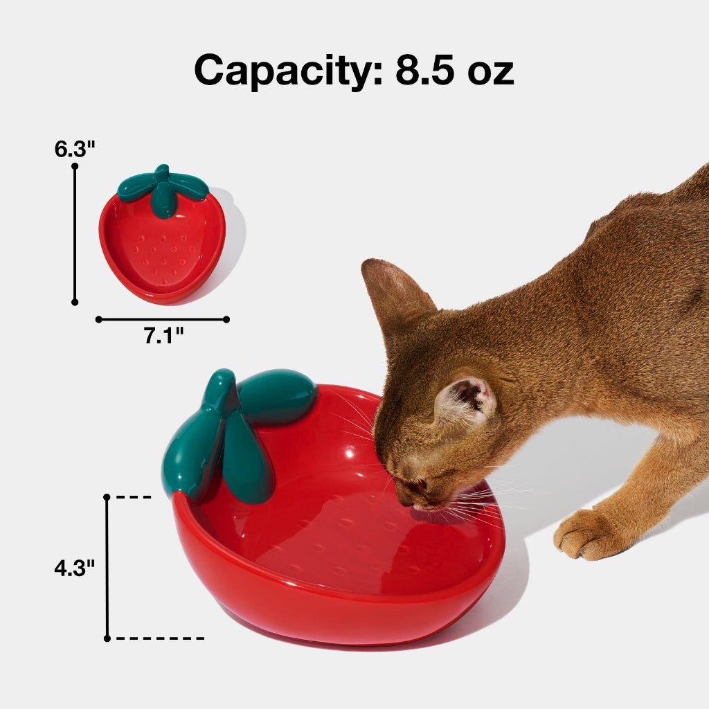 VETRESKA - Strawberry Ceramic Pet Bowl - OCC LIFE