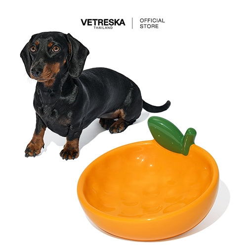 Vetreska - Tangerine Ceramic Pet Bowl - OCC LIFE