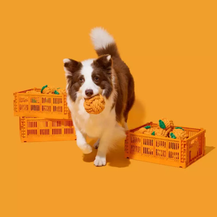 Vetreska - Tangerine Knot Rope Toy - OCC LIFE