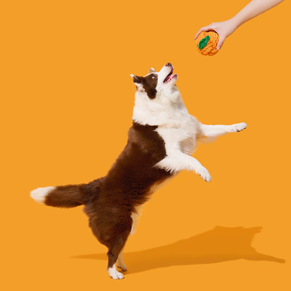 Vetreska - Tangerine Knot Rope Toy - OCC LIFE