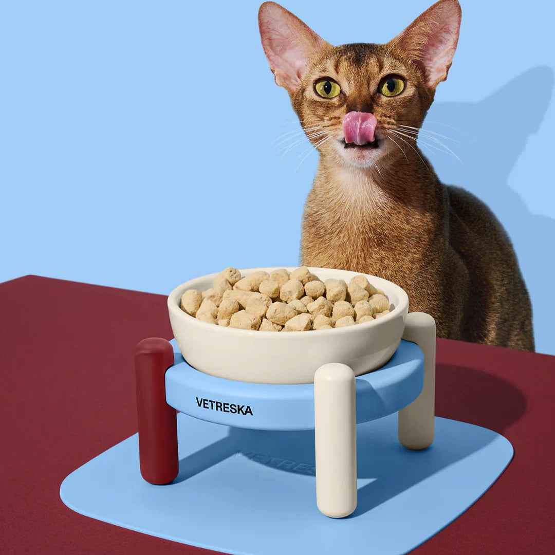 Vetreska - Mist and Merlot Pet Bowl & Mat Set - OCC LIFE