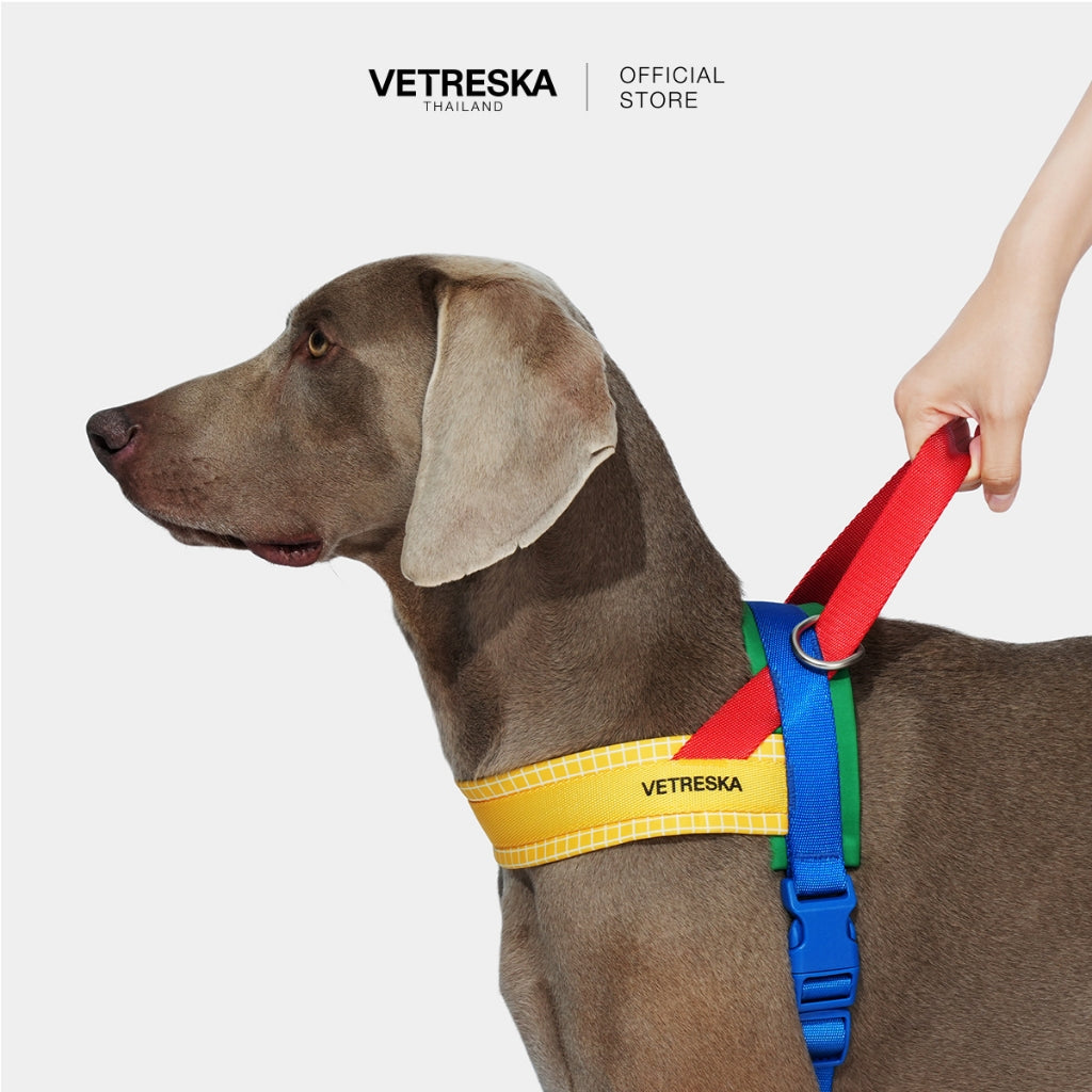 VETRESKA - Chroma Pet Harness & Leash Set - Yellow - OCC LIFE