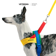 VETRESKA - Chroma Pet Harness & Leash Set - Yellow - OCC LIFE