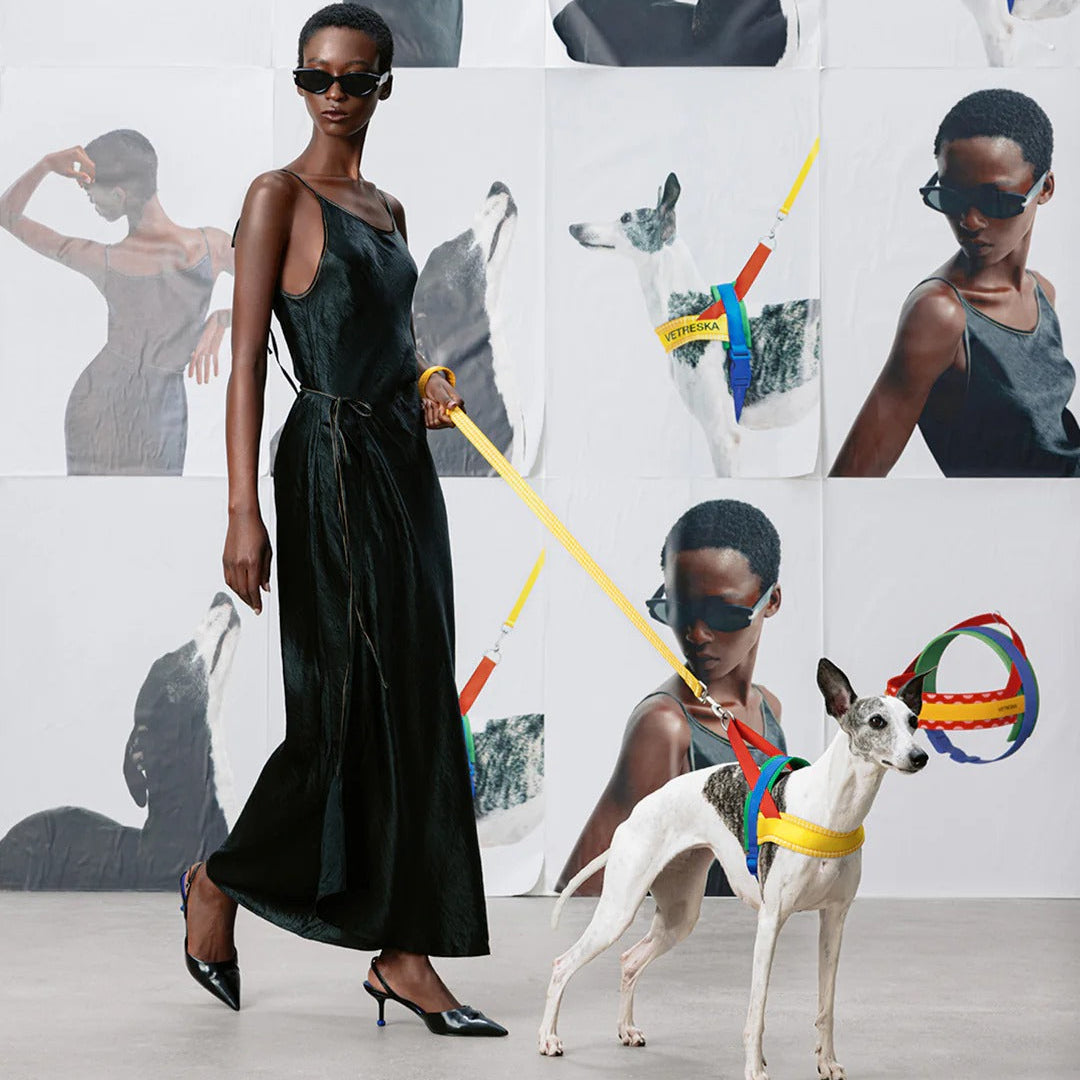 VETRESKA - Chroma Pet Harness & Leash Set - Yellow - OCC LIFE