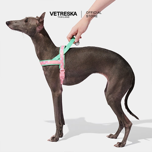 Vetreska - Flora Pet Harness & Leash Set - OCC LIFE
